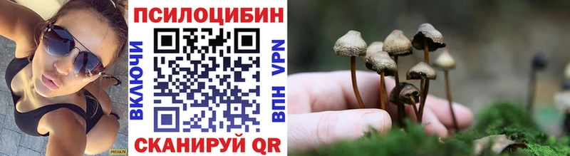 Псилоцибиновые грибы Psilocybine cubensis  купить наркоту  OMG сайт  Нолинск 